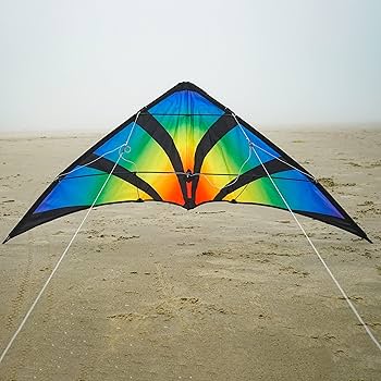 Amazon.com: In the Breeze 3346 —Aurora 48